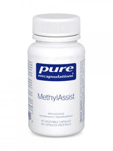 MethylAssist
