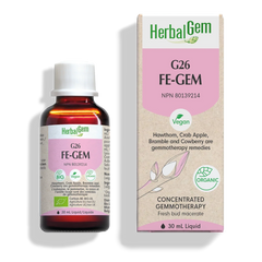G26 FE-GEM