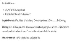 Feuille d'olivier - Olive Leaf
