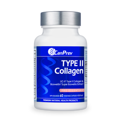 Type II Collagen