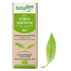G57 - Citrus limonum - citronnier
