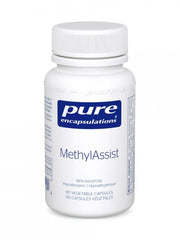 MethylAssist