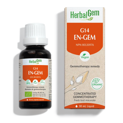 G14 EN-GEM