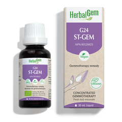 G24 ST-GEM