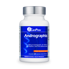 Andrographis