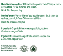 Echinacea angustifolia - racine coupée