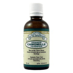 Grande camomille