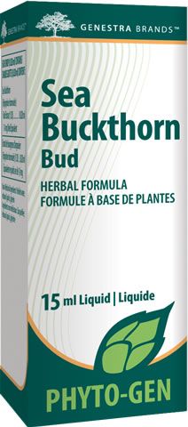 Sea Buckthorn Bud